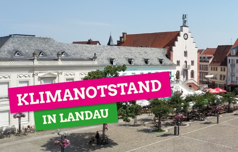 Landau ruft Klimanotstand aus